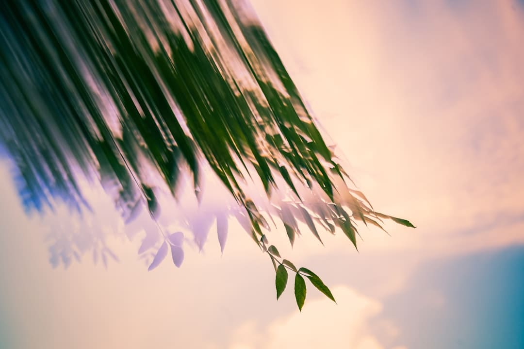 CS传奇选手somebody被曝组织打假赛,许昊文表示明日将作出回应 反转还是坦白一切?