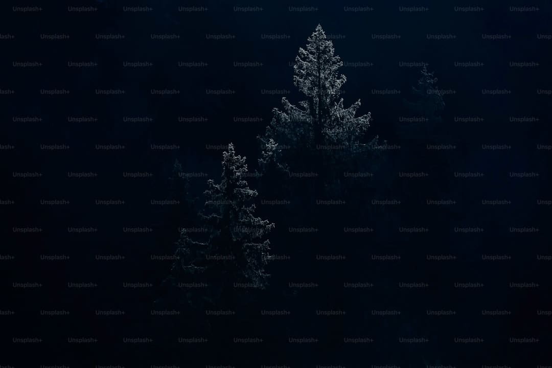 寒武纪进阶曲:国产AI芯片的突围之路